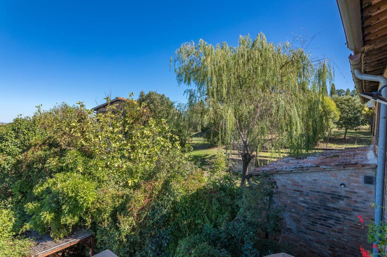 Podere Albereto Buonconvento Zewnętrze zdjęcie