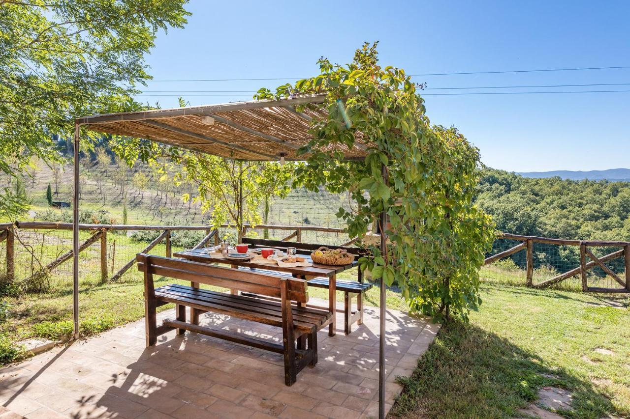 Podere Albereto Buonconvento Zewnętrze zdjęcie